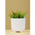 Ivory Gloss Planter