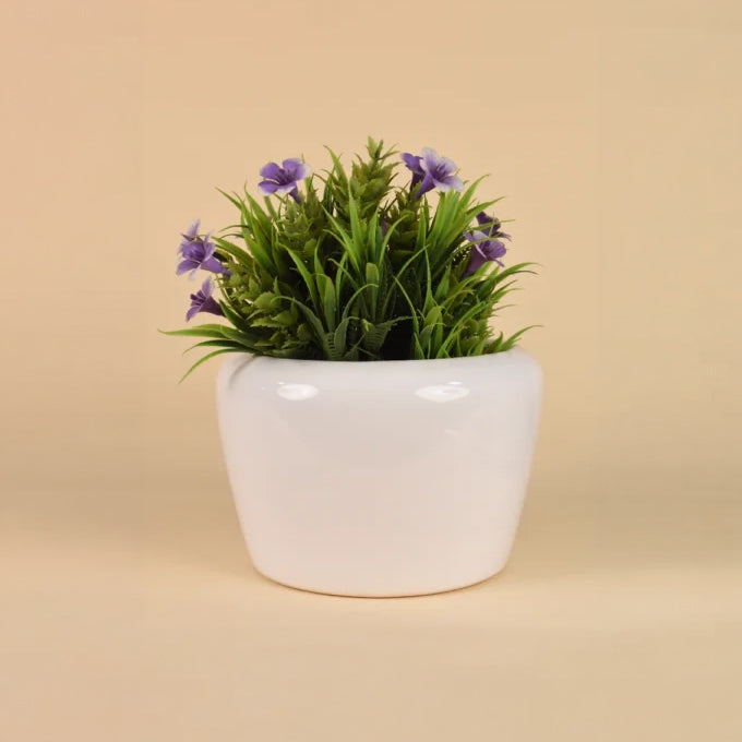 Minimal Curve Planter