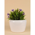 Minimal Curve Planter