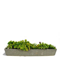 Rustic Rectangular Planter