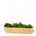 Sandstone Landscape Planter