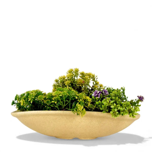 Sandstone Bonsai Tray