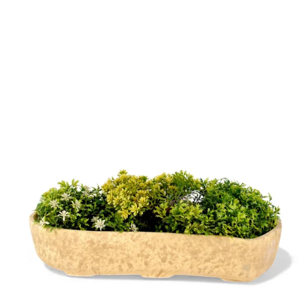 Sandstone Oval Planter