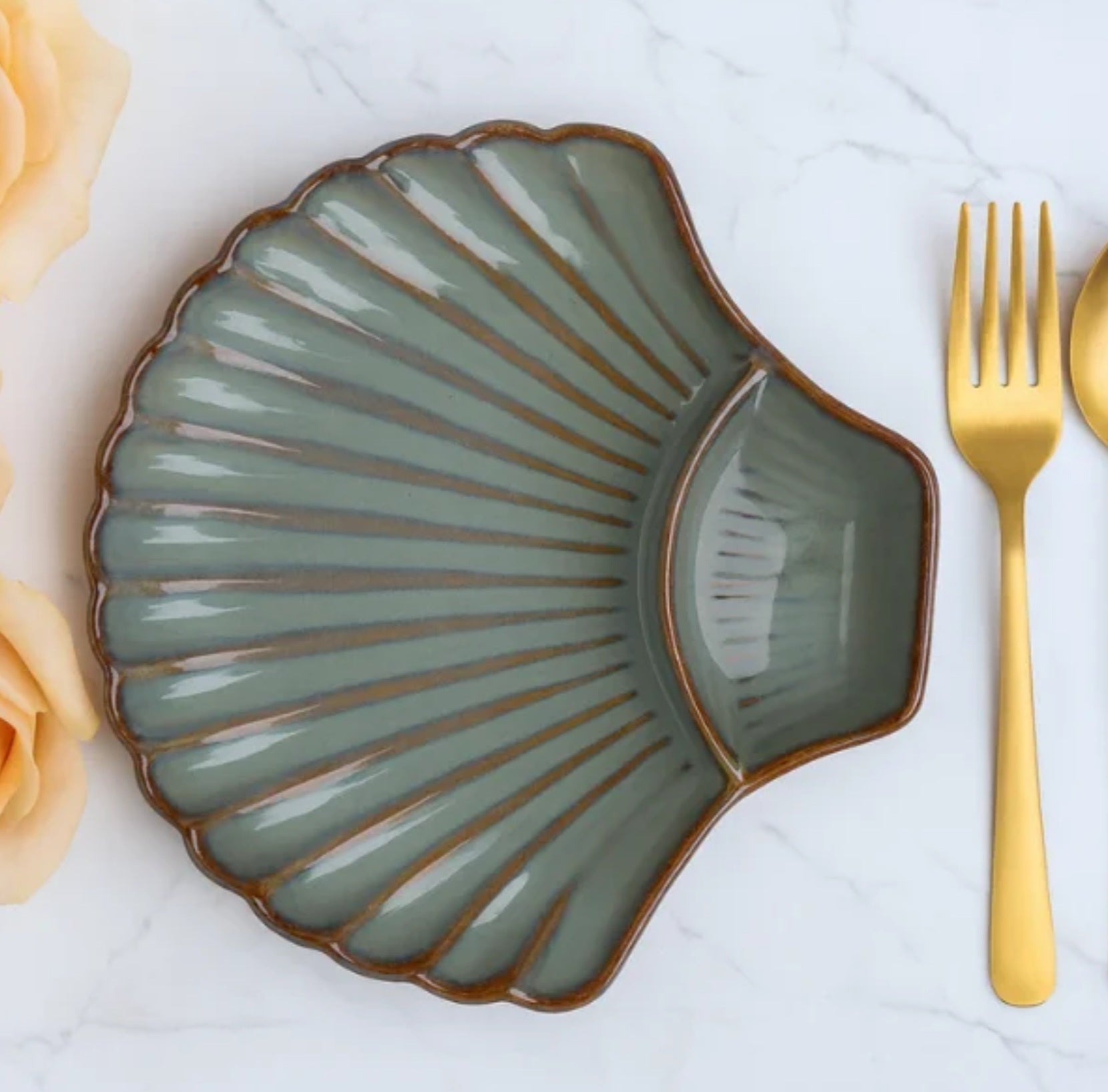 Ocean Shell