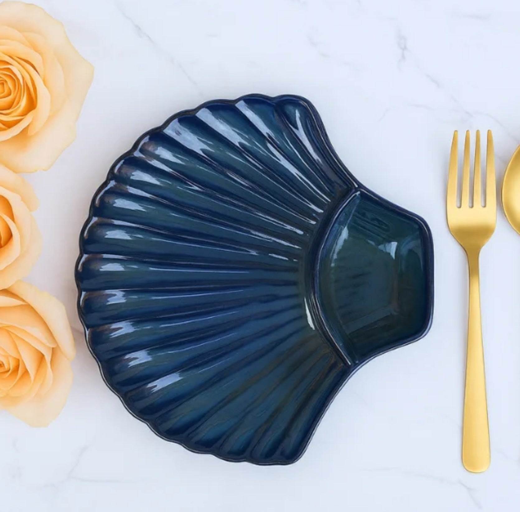 Ocean Shell