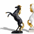 Stallion Solstice Black